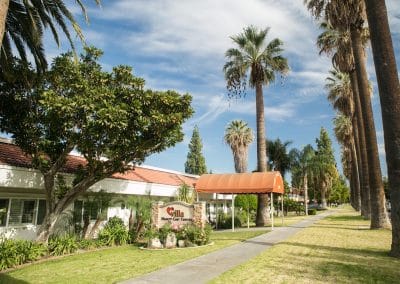 Front entrance with green vegetation